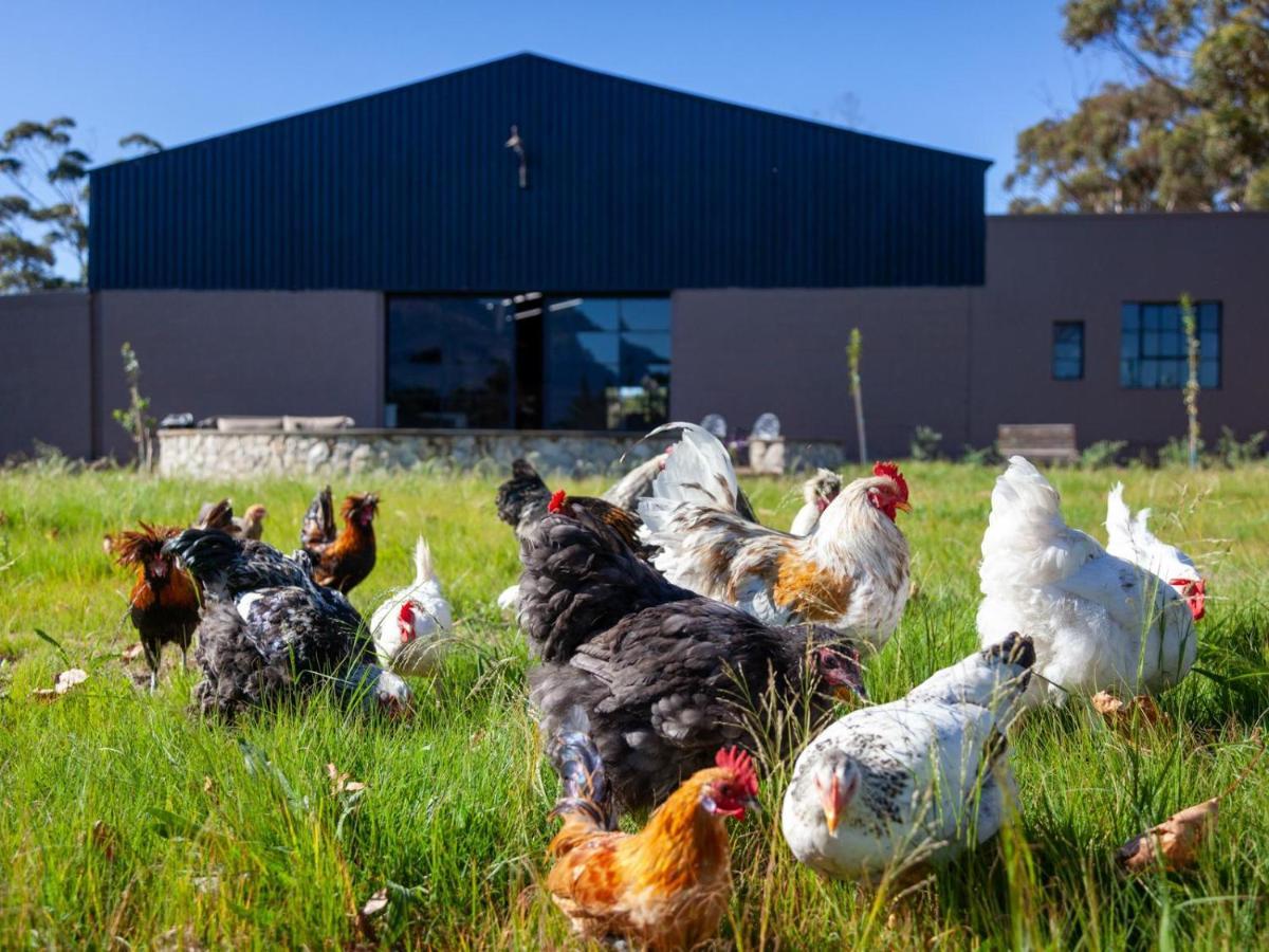 Rivergate Guest Farm Stanford Dış mekan fotoğraf