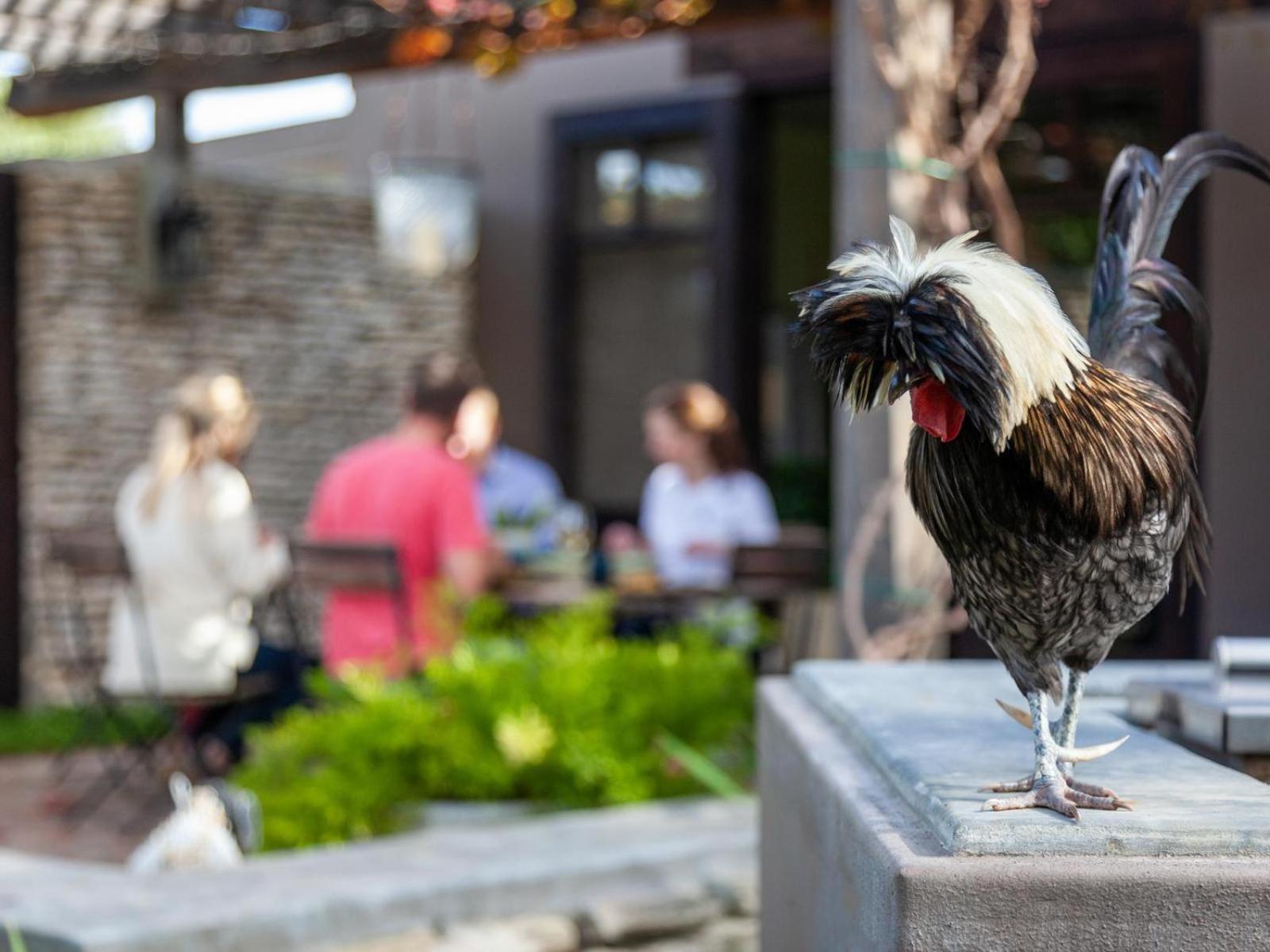 Rivergate Guest Farm Stanford Dış mekan fotoğraf