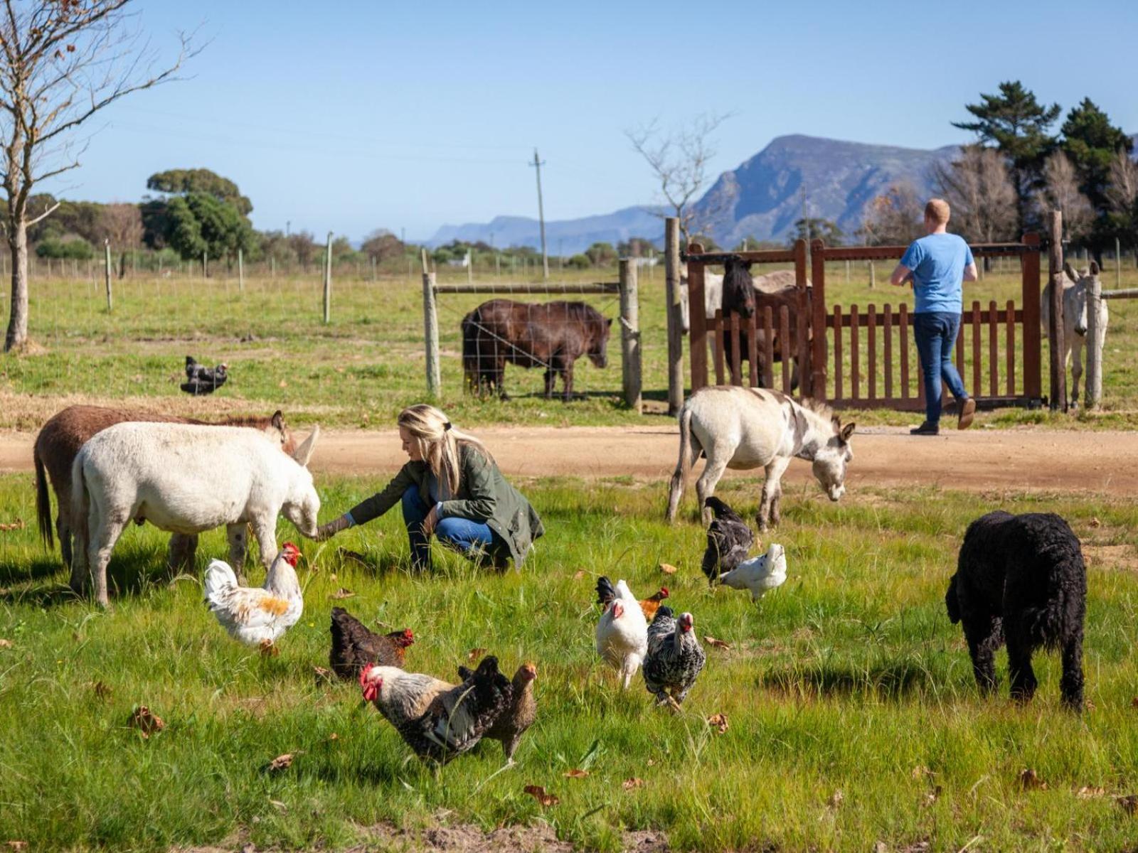 Rivergate Guest Farm Stanford Dış mekan fotoğraf